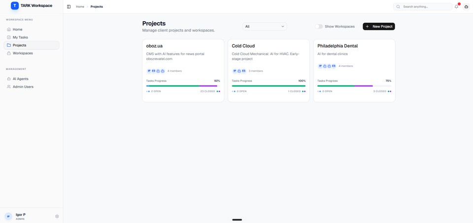 Project portfolio view showing multiple workstreams, team membership, and progress across client projects.